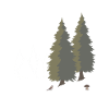 Wild Campen