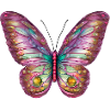 Butterfly Animal Butterfly Insect