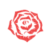 More Amore