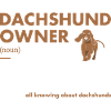 Dachshund Owner Definition