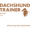 Dachshund Trainer Definiton