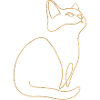 Chaton Chat Chat