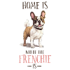 Home is where Frenchie is