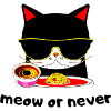 Hungry Cool Cat