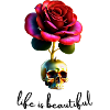 Flower Of Life And Death