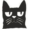 Cat Black