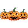 Pumpkins Jack-O-Lantern Halloween Spooky