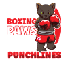 Katze Boxen Boxring Boxerhandschuhe Boxkämpfer