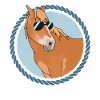 Haflinger Pferde | Haffi Pferdebesitzer Geschenk