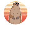 Marmots Mankai Groundhog Munggen Gift