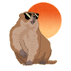Marmotte Munggen Mankai marmotte cadeau