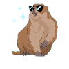 Marmottes Mankai Munggen marmotte cadeau