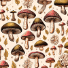 Fungi