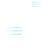 Bruder Limited Edition Spruch