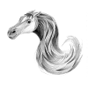 Raypony