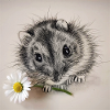 Hamster