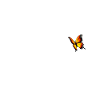 Rabbit with butterfly brown hare