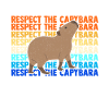 Capybara capybara rodent memes