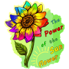 bunte Sonnenblume