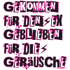 SexGeräusche Fanshirt Pink