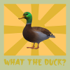 What the Duck - Das Entenshirt