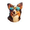 Dog Sunglasses