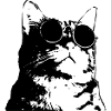 Katze mit Sonnenbrille im Street Art Stil