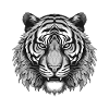Tiger Portrait Animal