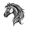 Horse Portrait Animal
