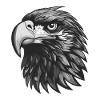 Eagle Portrait Animal