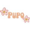 Pupo