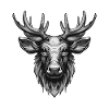 Moose Portrait Animal