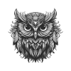Owl Portrait Animal