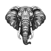 Elephant Portrait Animal