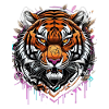 Graffiti Tiger