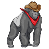 Gorilla Cowboy Cowboy Chapeau
