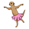 Suricate Ballerina Ballet Danse