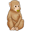 Monkey Baby Pacifier