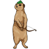 Erdmännchen Bogenschütze Bogen