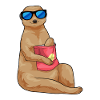 Meerkat Shopping Bag