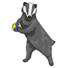 Badger Handball Player Handball
