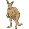 Kangaroo Handball Player Handball