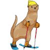 Otter Skifahrer Ski Wintersport