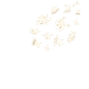Ghost Gift Creepy Dandelion Halloween
