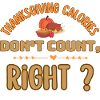 thanksgiving calories don't count,right?