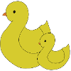 Maman canard et bébé