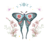 Magic Moon Butterfly