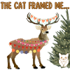 The Cat framed me...
