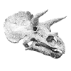 TriceraDots
