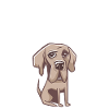Great Dane Gifts
